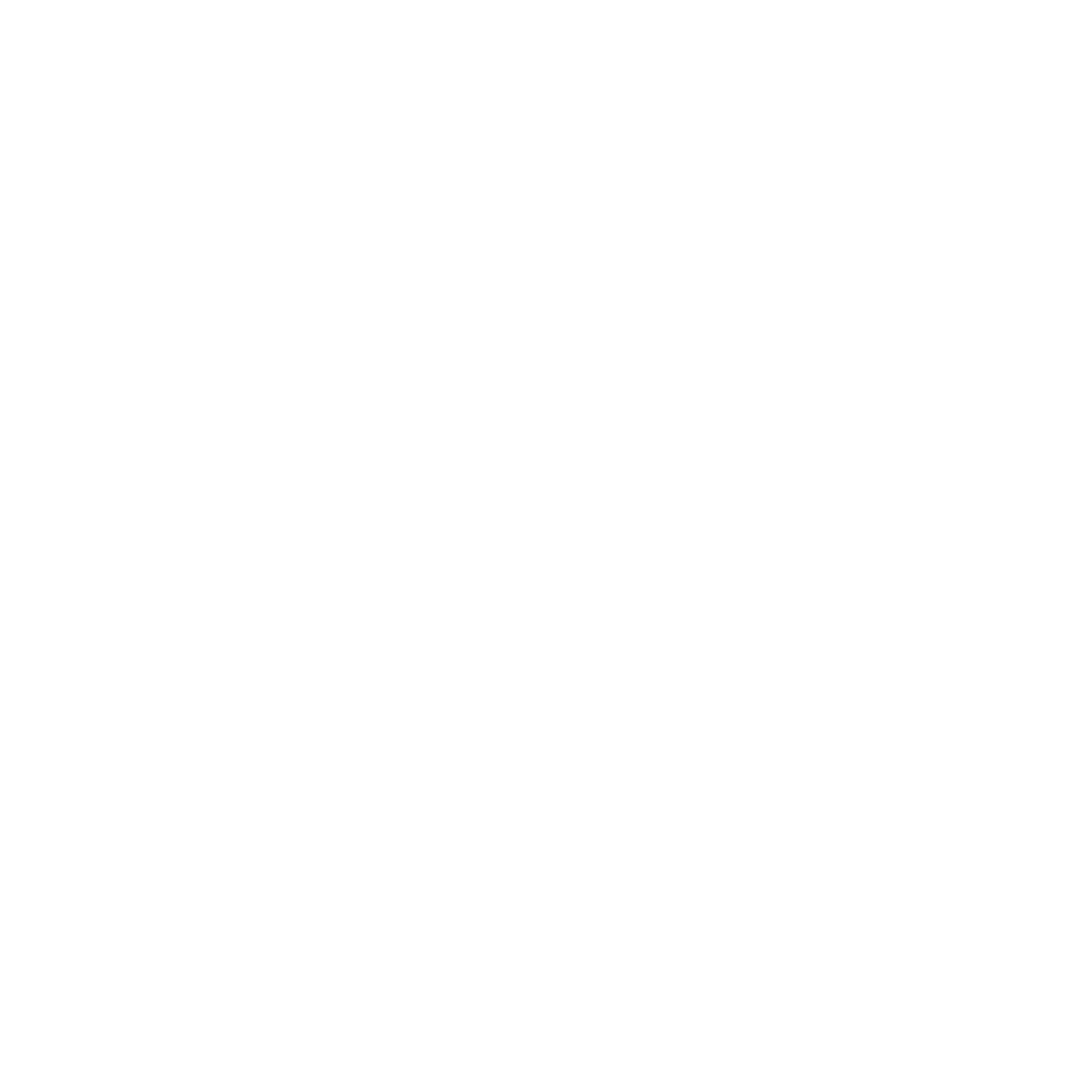 Seta
